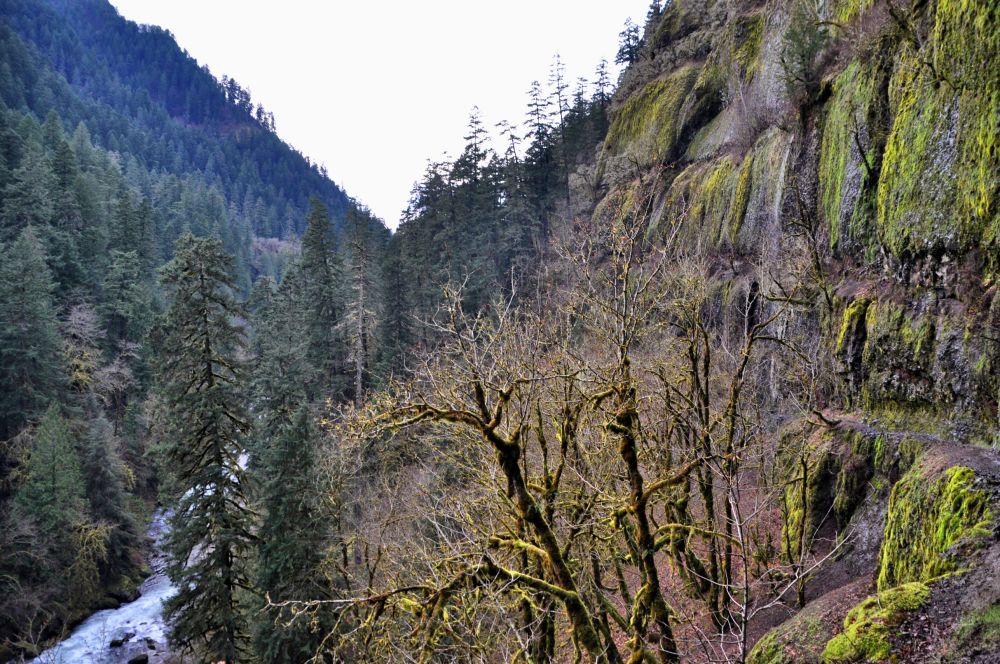 Trail is visible on the right, with Eagle Creek below on the left.