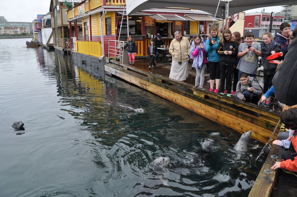 Kids feeding the sea lions. Look at the expressions on their faces!