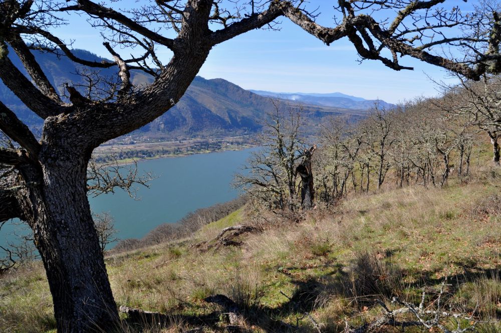 And looking west, back toward Portland, from our lunch stop.