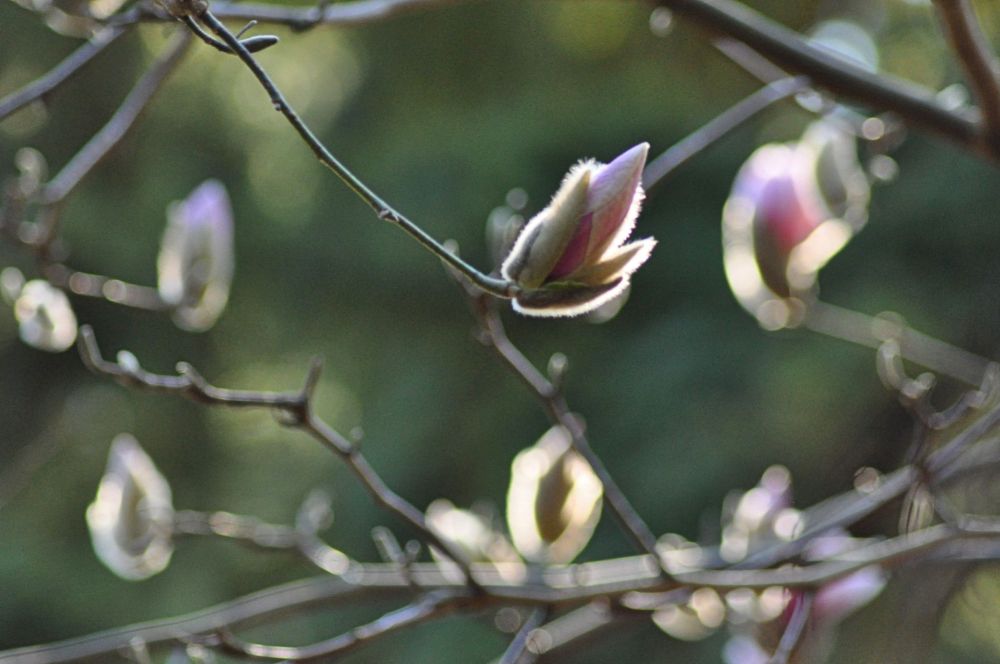 A tiny package of delight, reaching out to me.