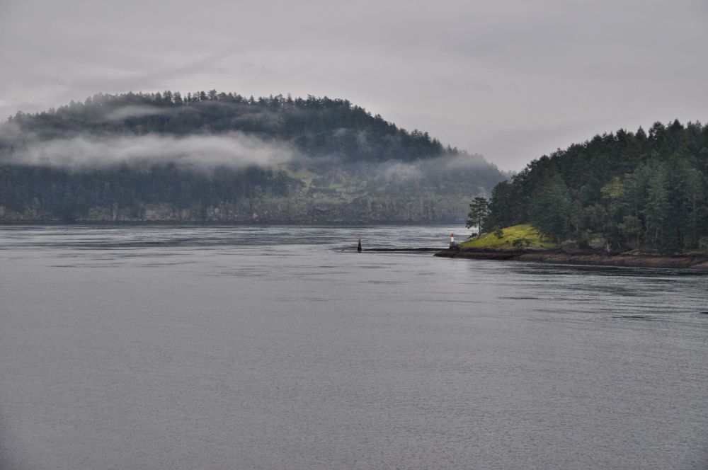 The hour and a half ferry journey from Swartz to Tsawassen was more interesting than the previous ferry ride, because we wound our way through islands.