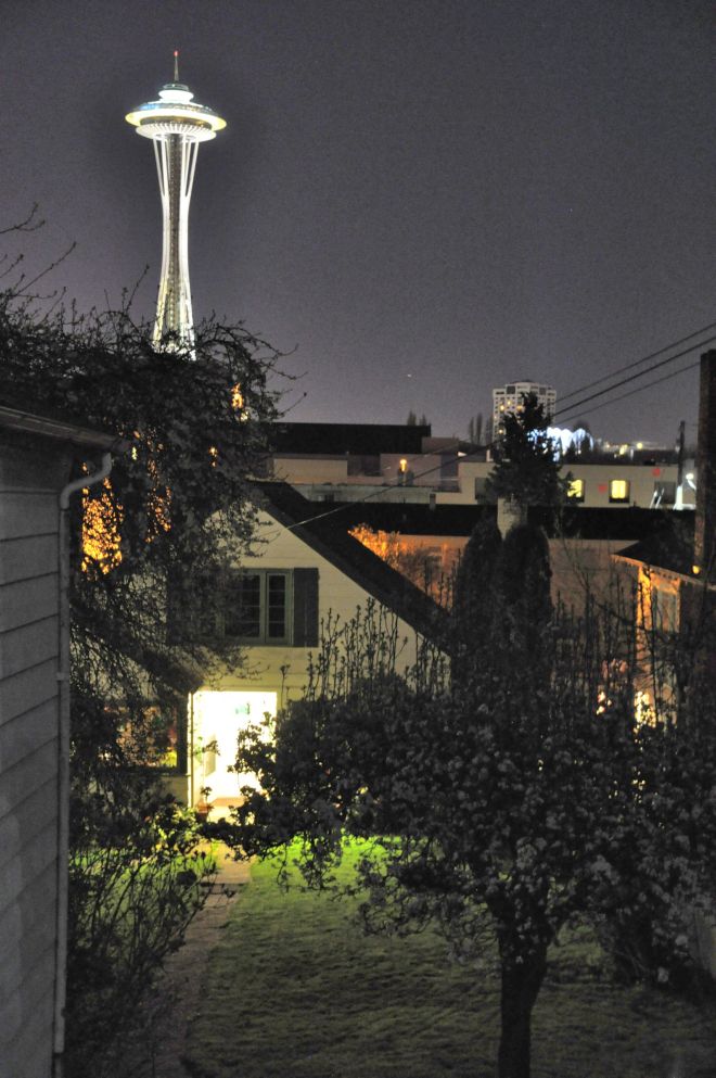 My brother and his girlfriend's oasis in Seattle.