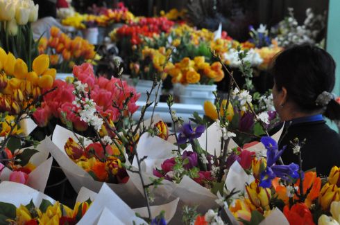 Flowers at the market.