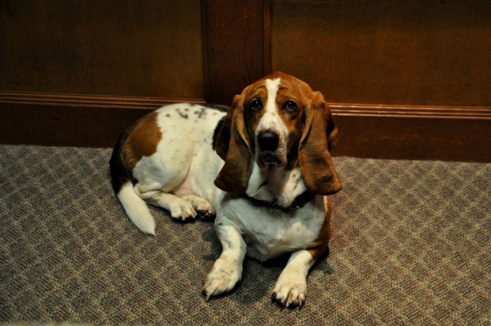 Look at this handsome fellow.