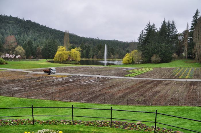 This is where they prepare their own starts from seeds.