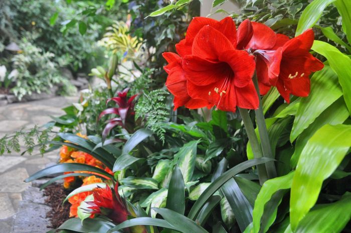 Dripping with colour