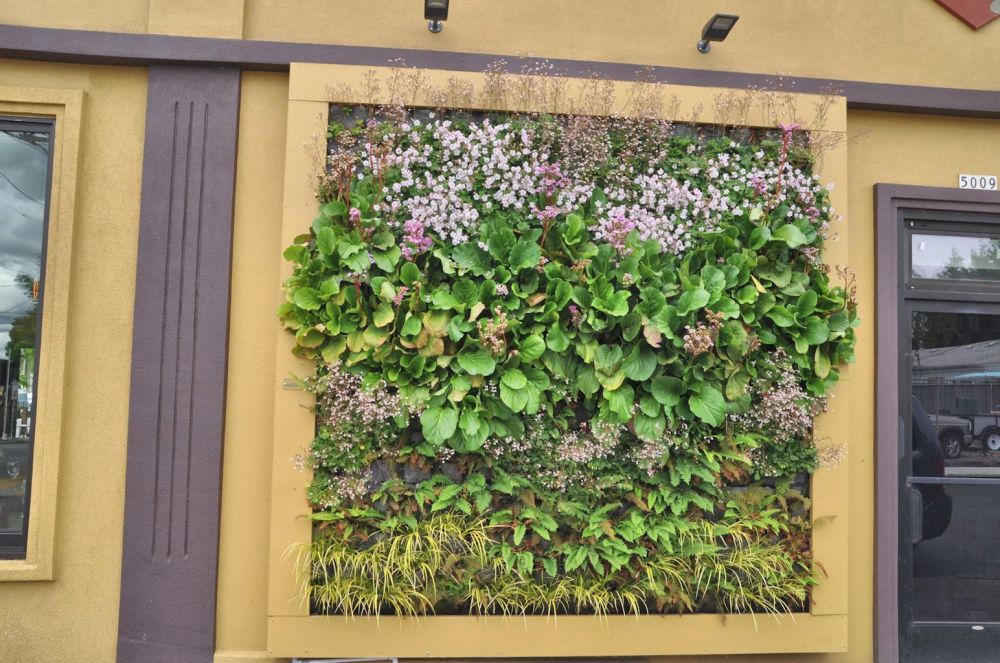 The living wall of a business on Alberta Street.
