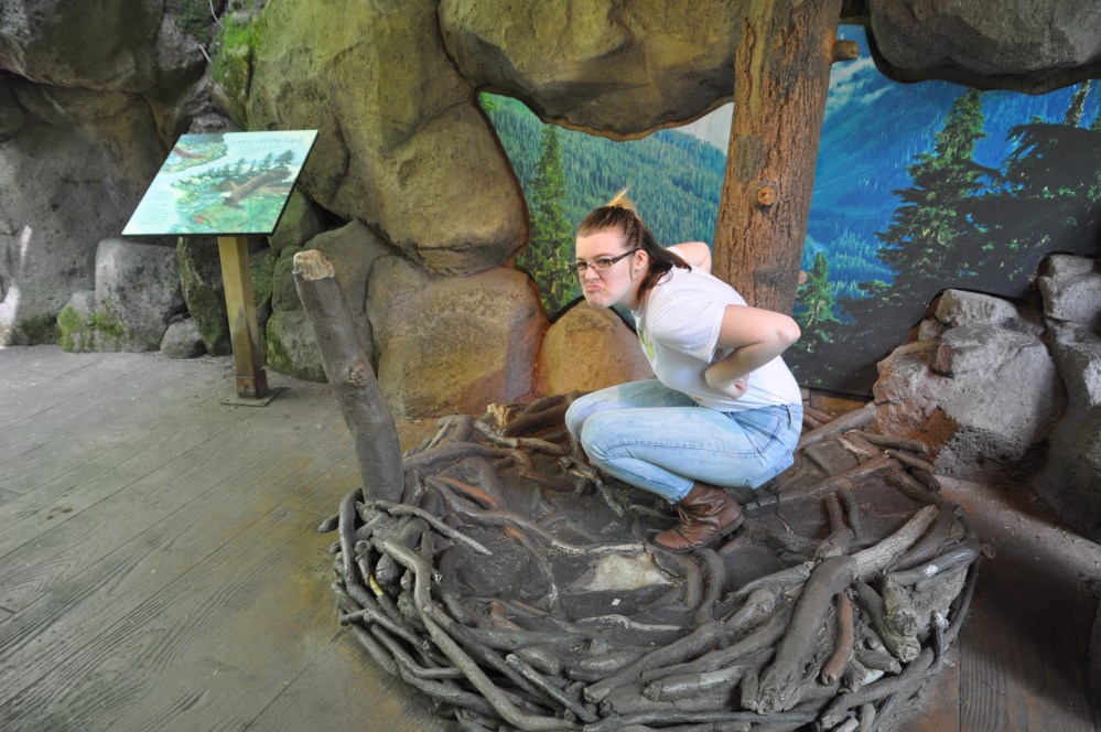 Tara pretending to be a baby eagle. A cranky baby eagle.