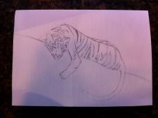 early draft tiger