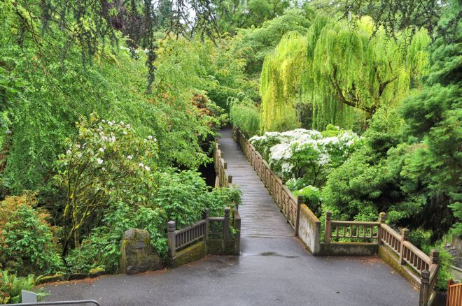 A view of Crystal Springs Rhododendron Garden from the entrance.