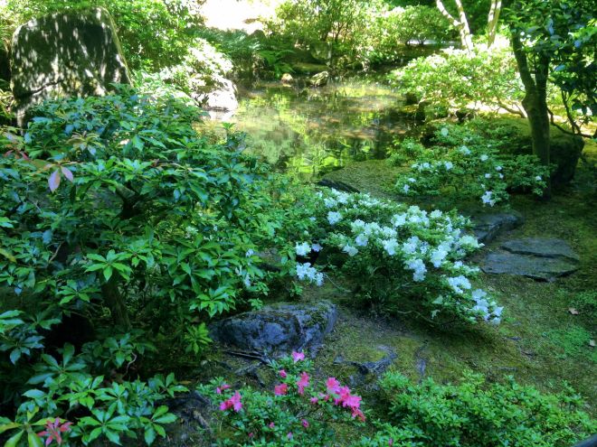 It was past peak spring colour, but these azaleas still added a spark to the shady greenery.