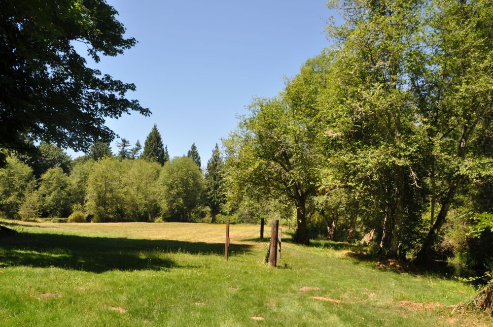 Standing beside the back deck, looking out toward the Back Forty.