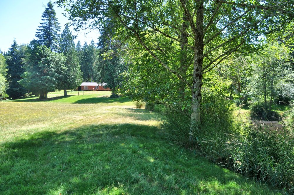 Standing beside the pond, looking up at the house on the hill.
