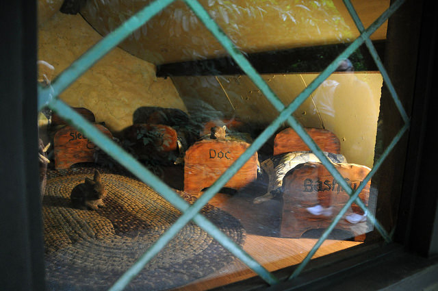 The second floor of the little house holds these darling beds, a tiny rabbit, and a squirrel doing some housekeeping.