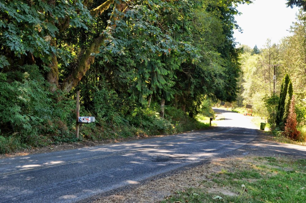 We've made our mark in the neighborhood. It's a shady street at all times, so hopefully sun damage will be slow.
