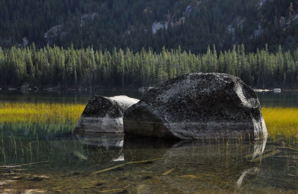 The light makes grasses in Lower Snow Lake glow.