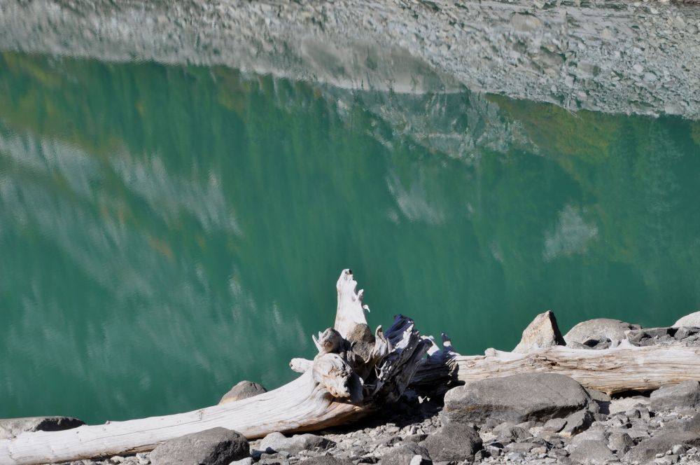Bleached white log beside the aqua-coloured water that was continually captivating to me.