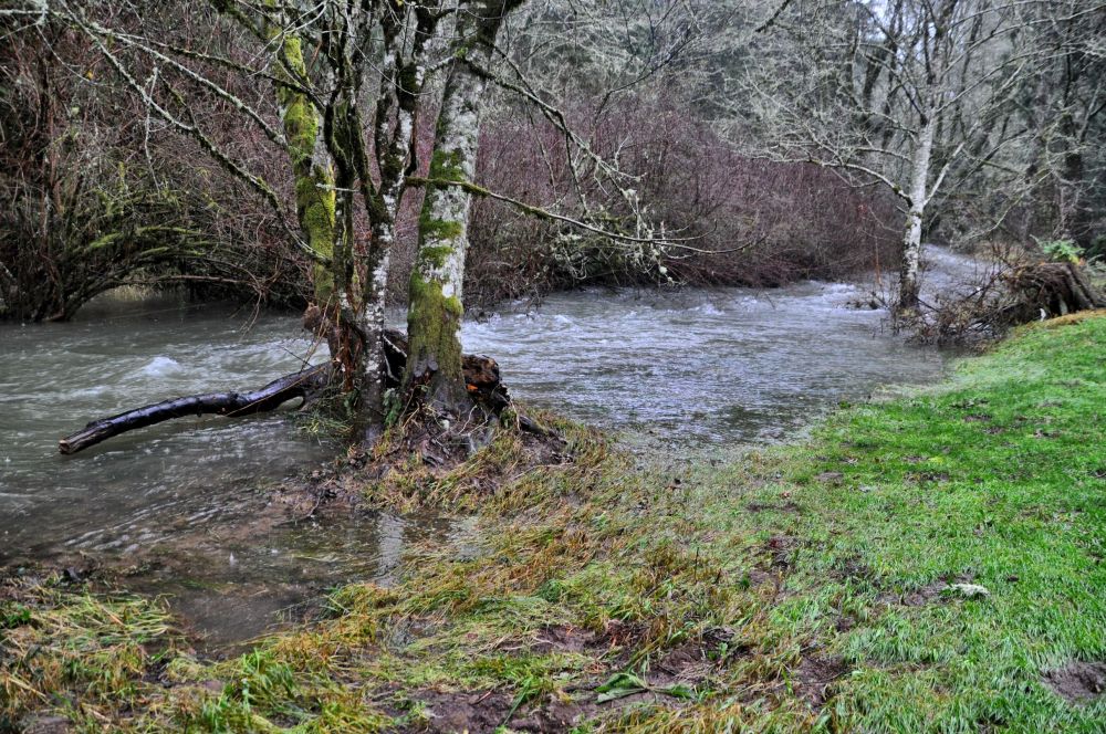 Beaver Creek is apparently trying to be Beaver River.
