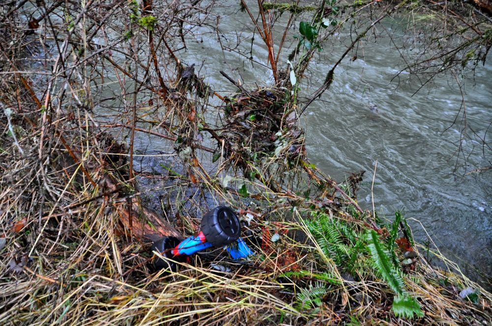 Hm, the water brings gifts.