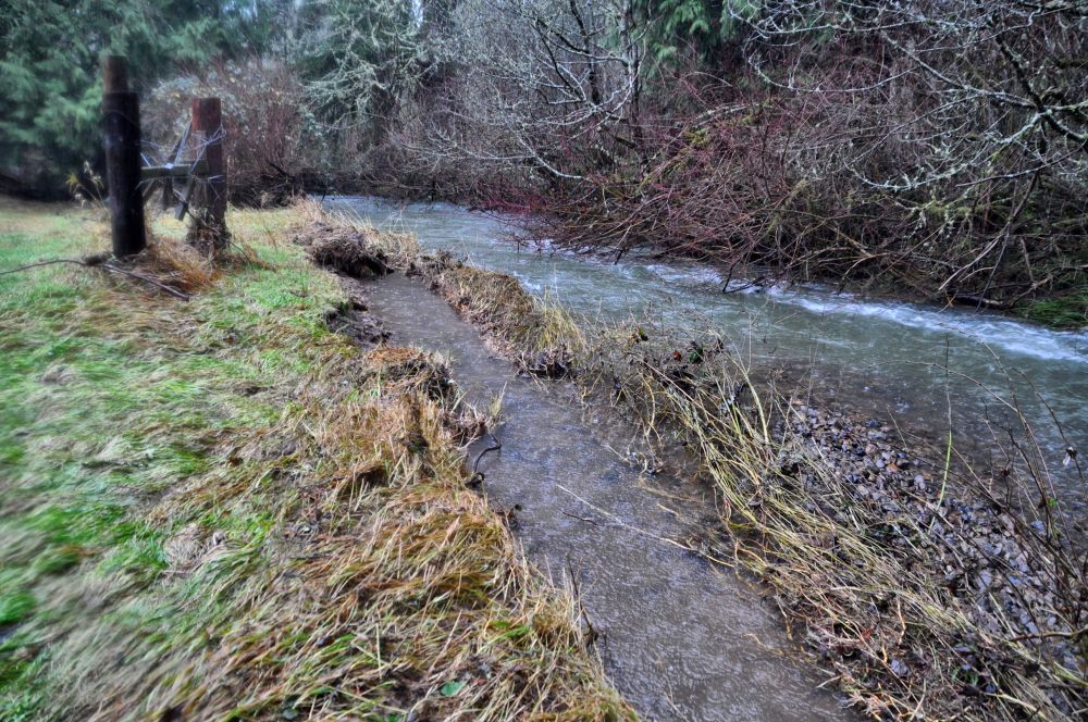 The river washed out the log that used to be here, as well as the huge blackberry brambles that were growing from it. (Yay! Less weed-whacking this summer.)