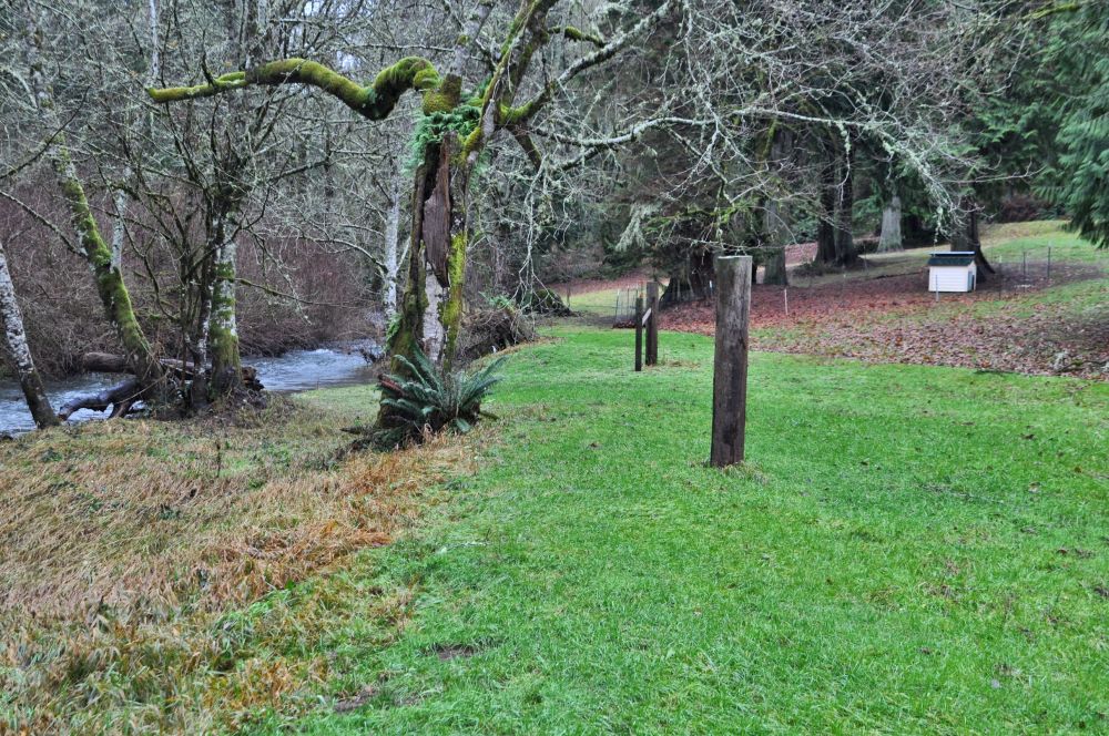 Who needs a leaf-blower when floodwaters clean it up much better?
