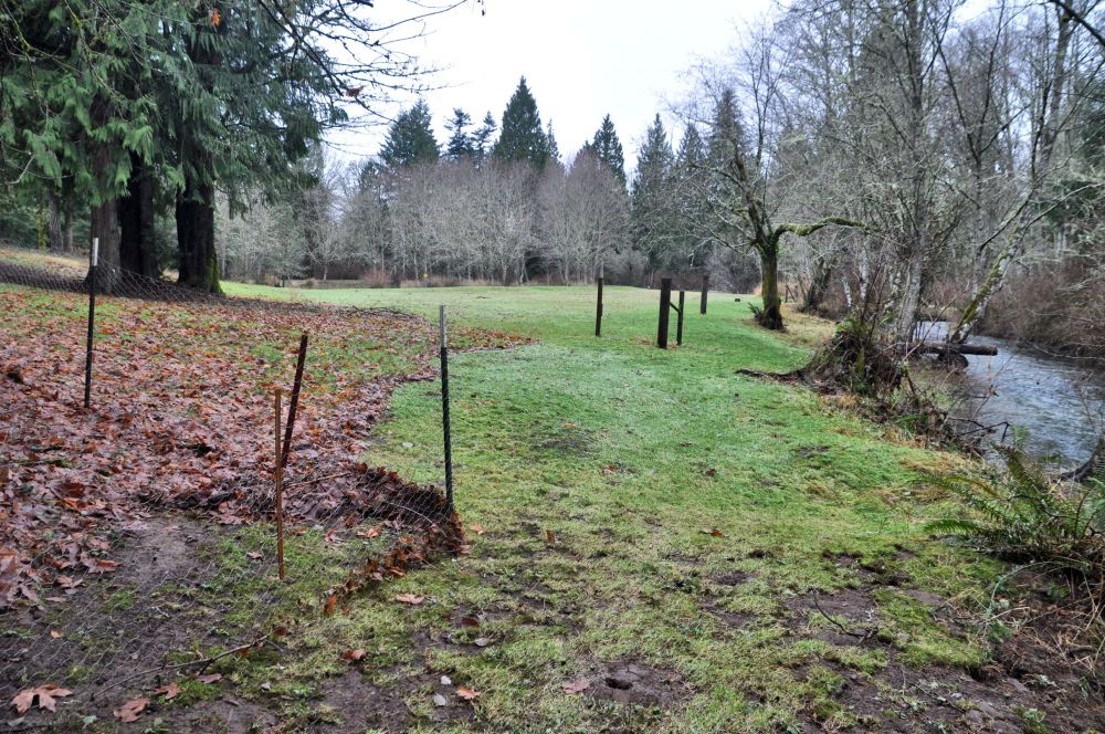 Looking the other direction, you can see exactly where the water flowed.