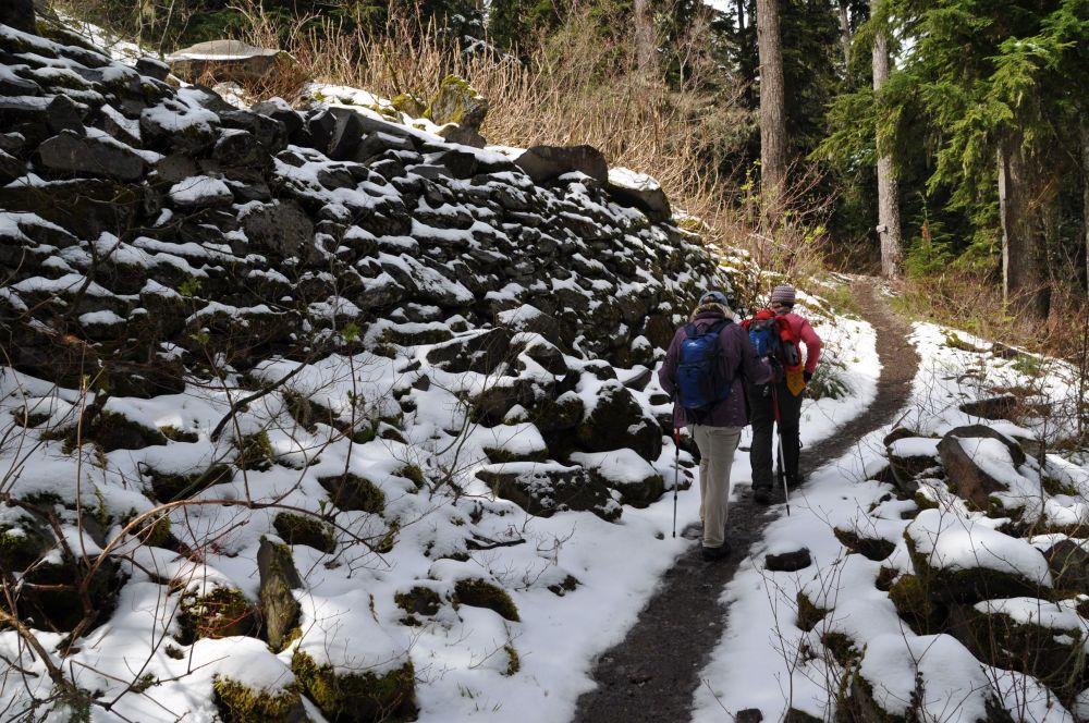 Hiked to Larch Mountain in April with a women's hiking group.