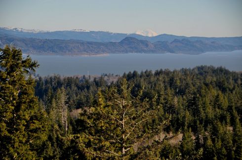Mt. Rainier off to the northeast (because I had to include a volcano!)