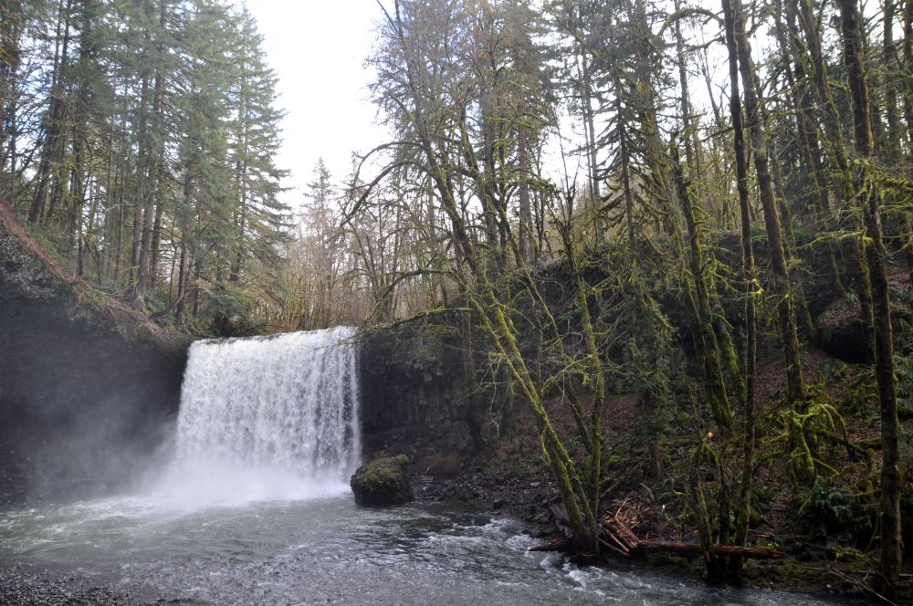 Beaver Creek scours out a bowl to fill.