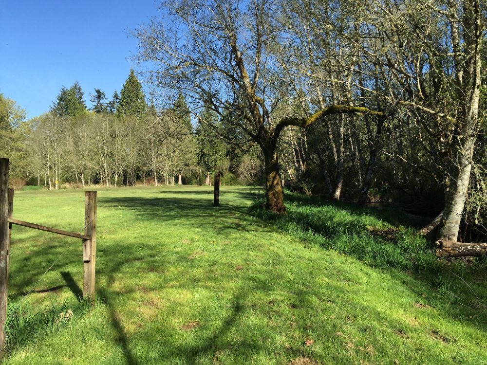 My farm is greening up in the Spring weather.