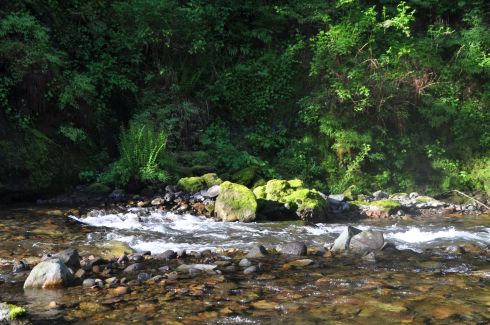 View from our camp across the river.