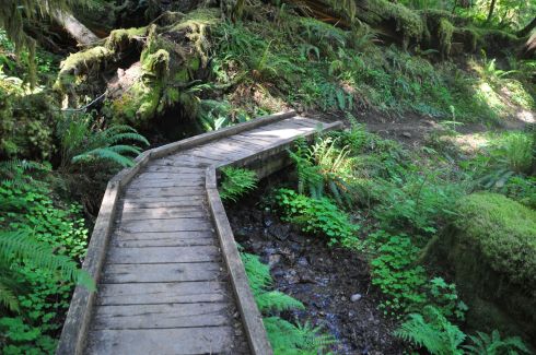 Trail between House Rock and House Rock Falls.