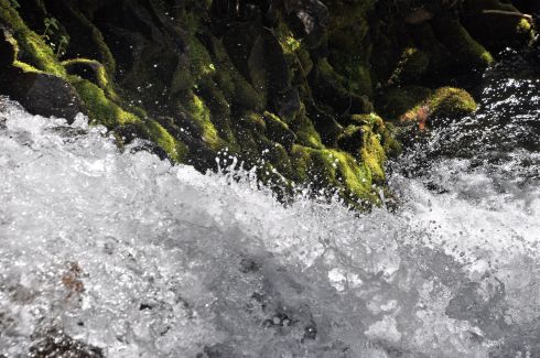 We were treated to a couple of sunbeams on day one.