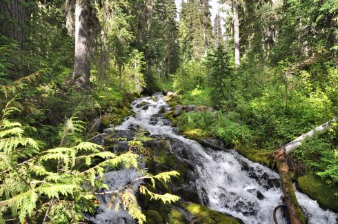 Several spectacular falls are near the trail as it switchbacks up the mountainside.
