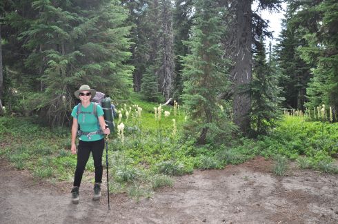 I am standing at the junction of Snowgrass Flats Trail and the Bypass Trail.