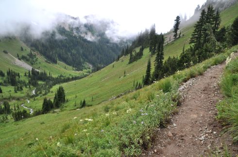 Looking back the way we had come, down the Cispus River Valley.