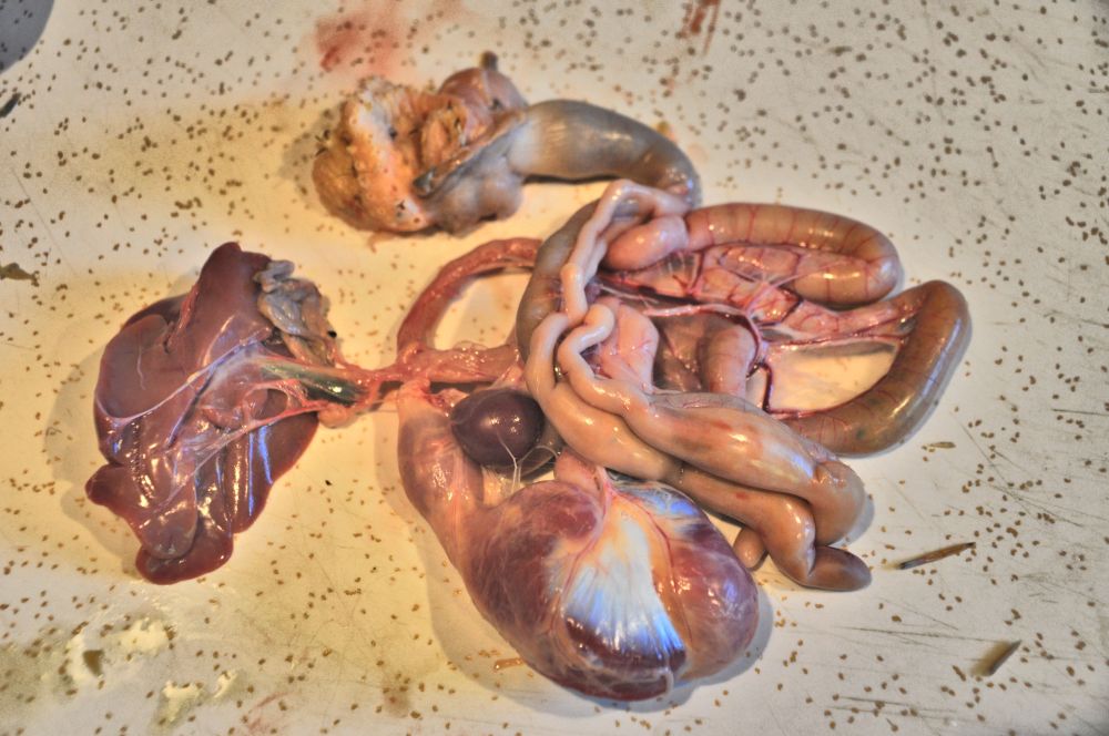 I didn't break anything that wasn't supposed to break. And it all came out first try. Except... oops, where's the heart? I reached back inside and found the heart too.