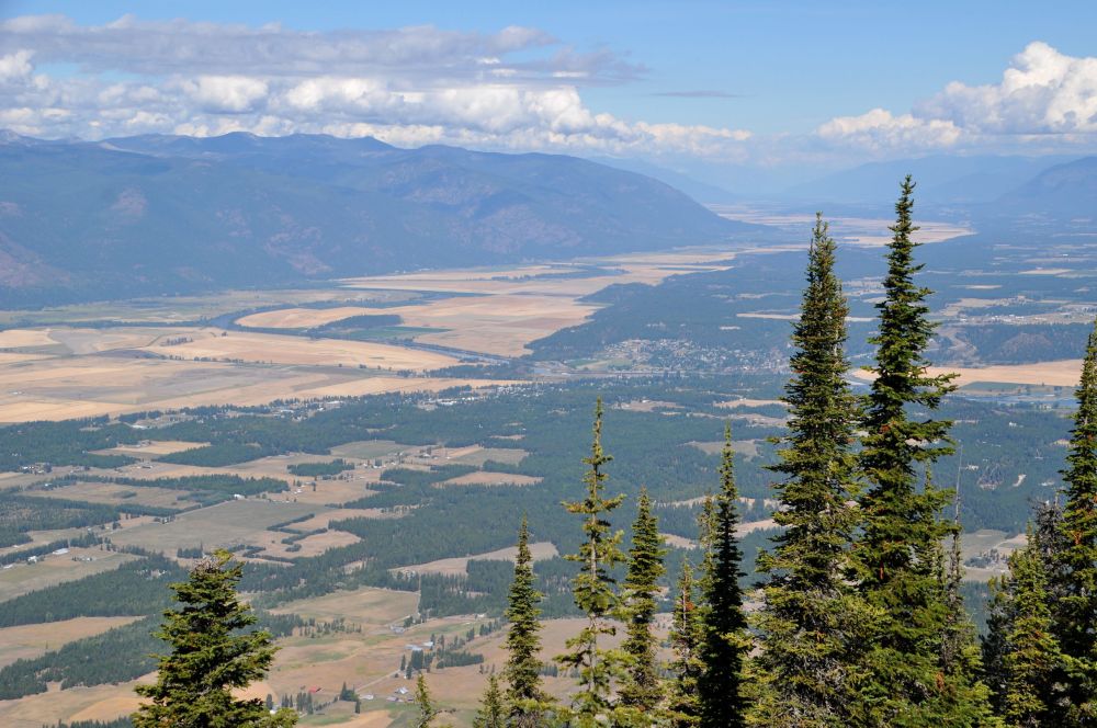 View from the base of the lookout, looking north.