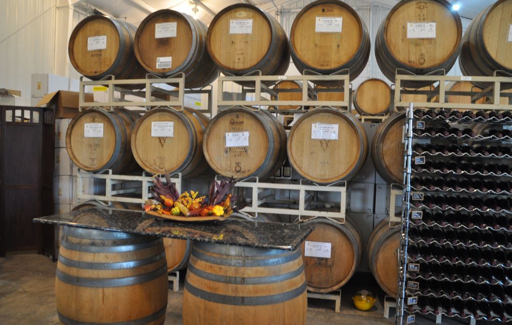 Winemaking, aging, and tasting come together in the Apolloni winery.