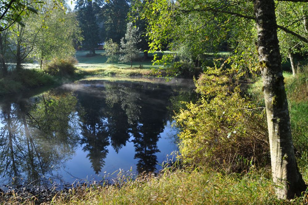 One last look at the lovely pond.