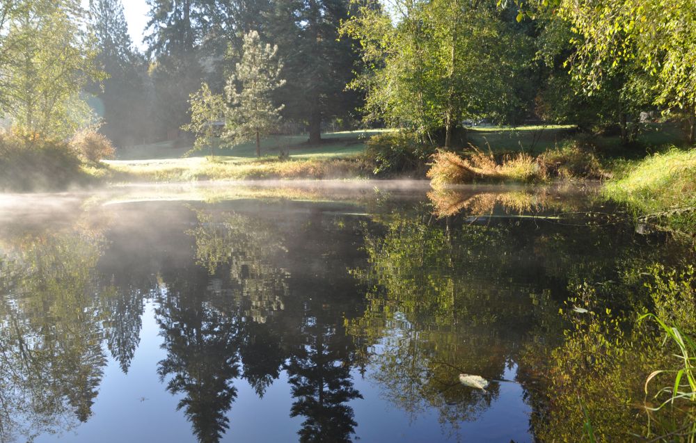 Autumn sun heats the surface of my pond.