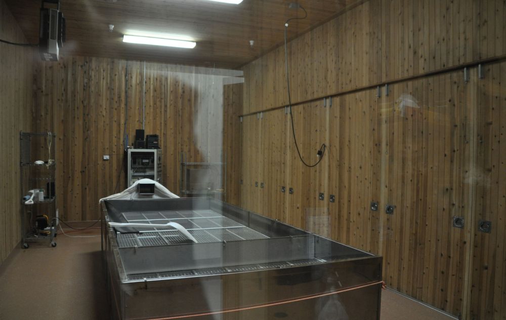 The cedar-lined room