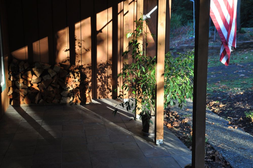 Each evening, there is a brief moment where the sun has an opportunity to hit the front of the house through the trees. That is, if it's shining.