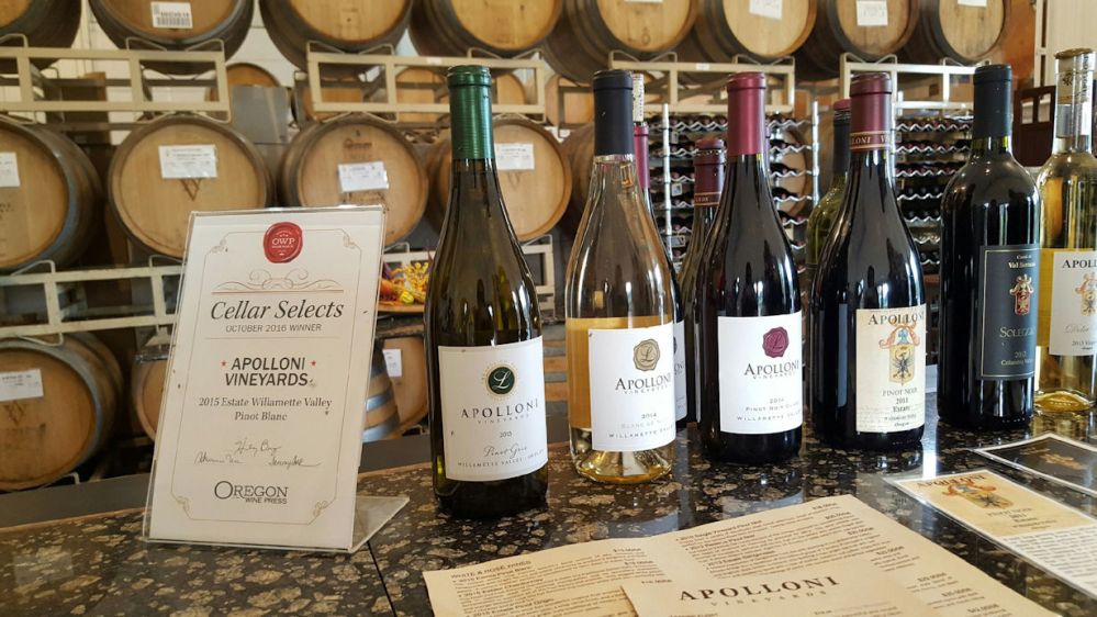 Our flight at Apolloni