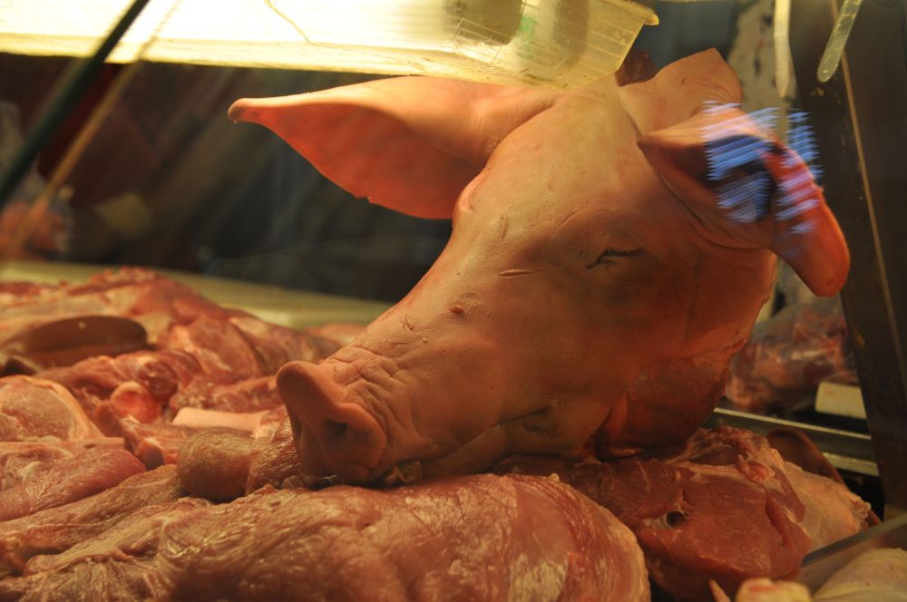 At the meat market we found tongues, hooves, and a pig head.