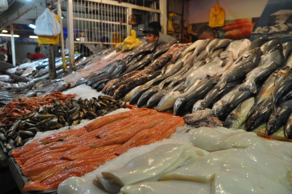 The fish looks very fresh.