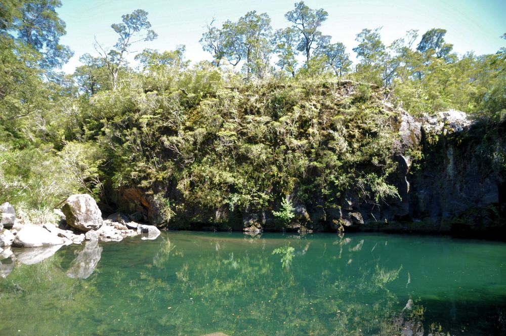 Small pond near the waterfalls where we ate our picnic lunch.