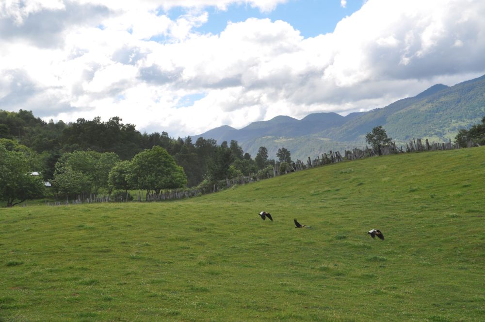 On the way to the park. Chile is a stunningly beautiful country.