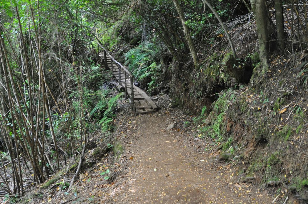 The trail included many little wooden structures to help us out, like bridges and ramps.