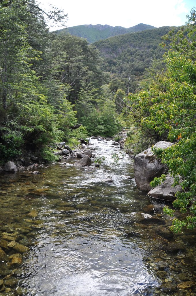 A river near Lago Tinquilco